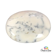 Dendritic Opal Palm Stone