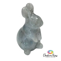 Labradorite Rabbit