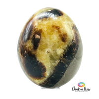 Septarian Egg