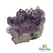 Small Amethyst Cluster